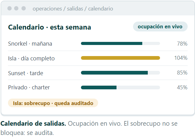 Pantallas de la plataforma de Infinity Ocean, recreadas con datos ficticios